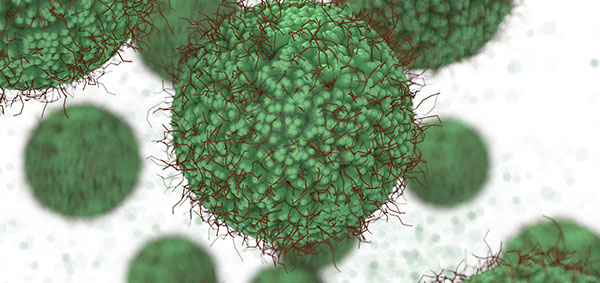 Reduction in Cases of Staph